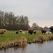 Ten Things to do in the Netherlands (Part 1)