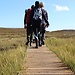 Alta Canyon