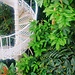 The Botanical Garden Copenhagen