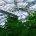 The Botanical Garden Copenhagen
