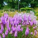 The Botanical Garden Copenhagen