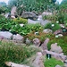The Botanical Garden Copenhagen