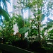 The Botanical Garden Copenhagen
