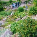 The Botanical Garden Copenhagen