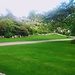 The Botanical Garden Copenhagen