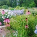 The Botanical Garden Copenhagen