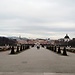 The Elegance of Vienna