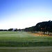The fields of Lyngby