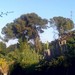 The importance of nature and life