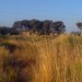 The importance of nature and life