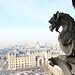The monster on the top of Notre-Dame Paris
