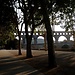 The Pont du Gard