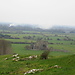 Cashel