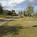 The Tolomei's Garden, Orto dei Tolomei.