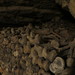 The underground of Paris