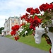 THINGS TO DO IN TALLINN