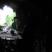 Tingo Maria ¡verde selva de mis ojos!