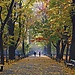 Top Krakow attractions - The best things to do in Krakow