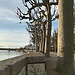 Top list: esperienze da fare e luoghi da visitare a Coimbra