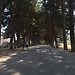 Touring Turkey (Part 1): Izmir, Ephesus and Selçuk