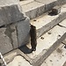 Touring Turkey (Part 1): Izmir, Ephesus and Selçuk