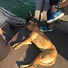 Touring Turkey (Part 3): A first glimpse of Istanbul