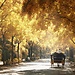 Touristic Spots in Seville
