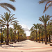 Alicante city