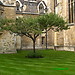 Trinity College _ Isaac Newton