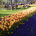 Tulip Festival in Istanbul ~ Beauty in April