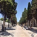Un avventura di nome Tarragona (Giorno Uno)