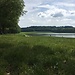 Un día de picnic en las afueras de París: Versailles