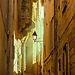 Un Flâneur a Montpellier