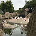 Un giorno al Bioparc di Valencia