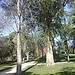 Parque Retiro