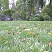 Un parc universitaire pour lire son livre ou se promener