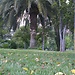 Un parc universitaire pour lire son livre ou se promener