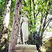 Iveagh Gardens