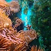 Kölner Zoo