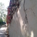 CAAC