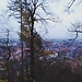 Tienda vintage Yugoslavia