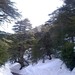 Algérie