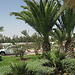 un weekend extraordinaire à Jerba