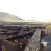 La Geria