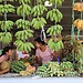 Myanmar