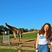 Fota Wildlife Park