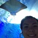 Acuario Inbursa