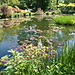 Une balade à Giverny : La maison de Monet