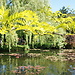 Une balade à Giverny : La maison de Monet