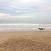 Plage de la Malvarrosa
